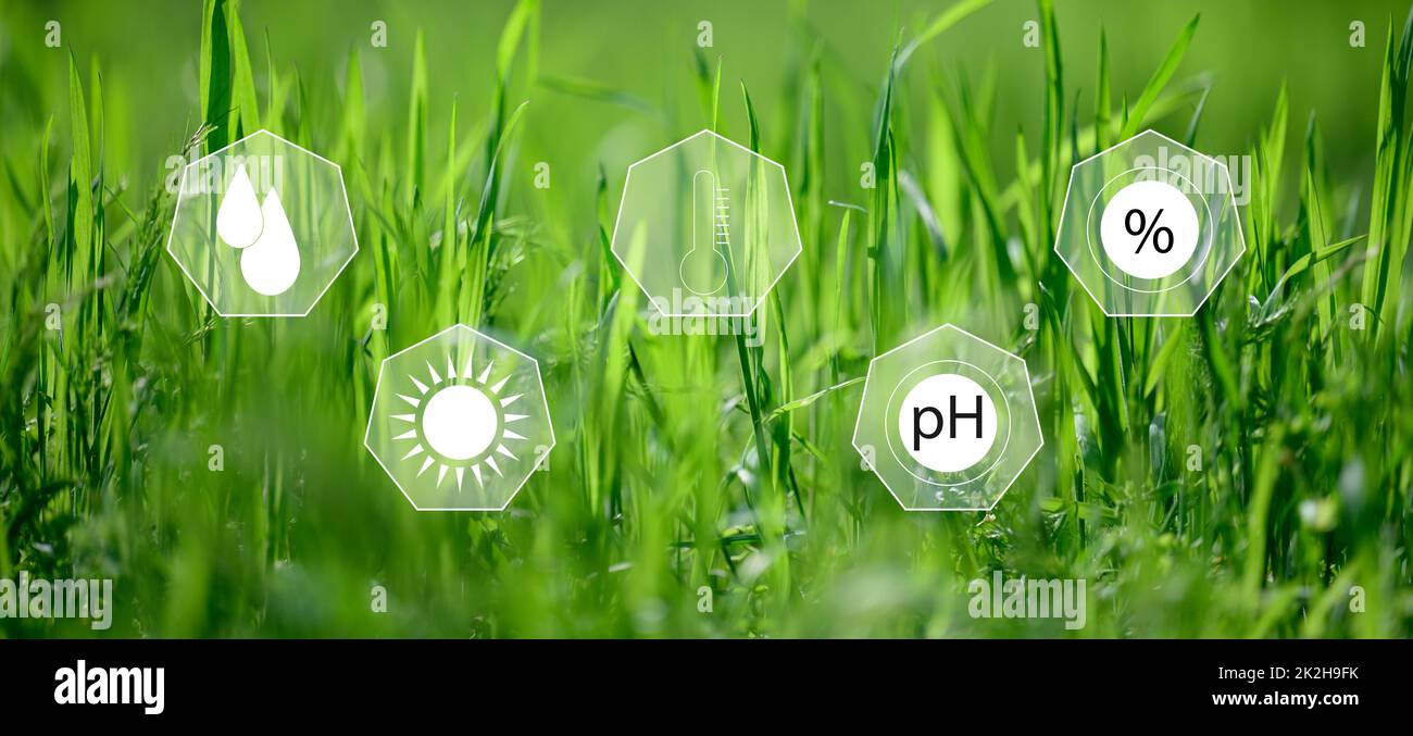 Control of the amount of moisture in the soil, temperature, alkaline