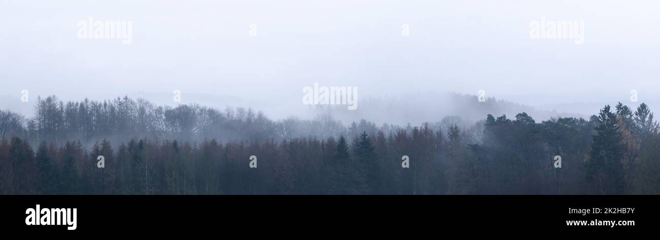 Wide panorama of a forest on a gloomy and foggy day in the Westerwald area, Rhineland-Palatinate, Germany Stock Photo