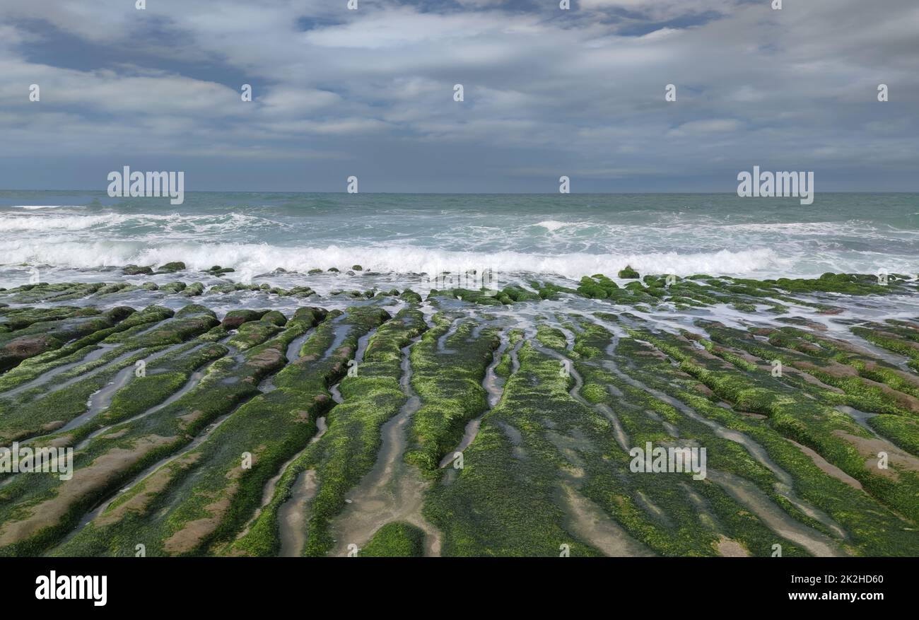 Laomei Green Stone Trough is located in Shimen District on the North Coast, Every April and May, because the northeast monsoon slowly weakens, the local rock trough scientific name: tidal trench and sea erosion trench is covered with a large green seaweed Stock Photo