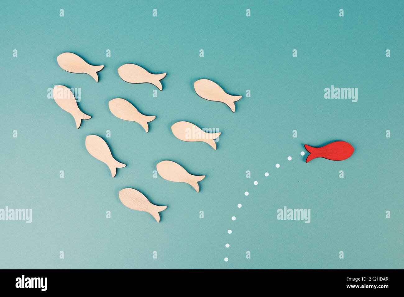 One red fish is swimming against the stream, opposite direction of the other fishes, being different, leadership and mindset concept Stock Photo