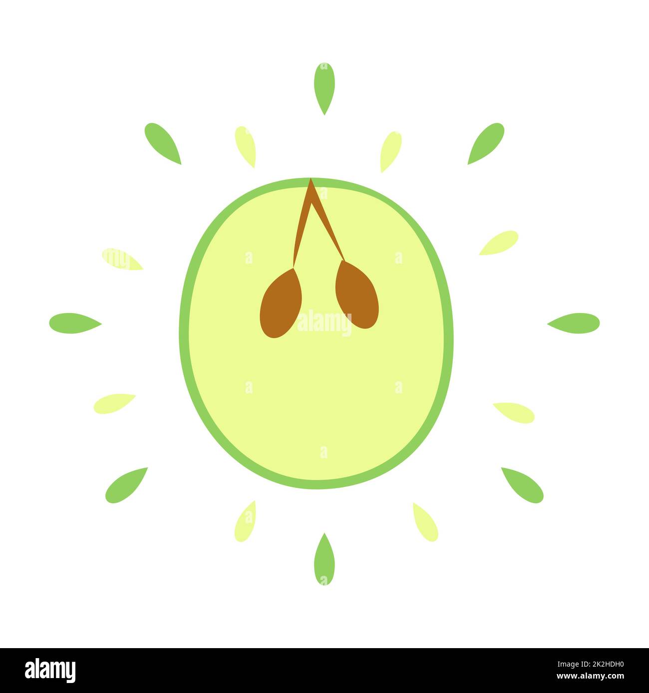 Abstract succulent sapodilla icon with splashes isolated on white background - Vector Stock Photo