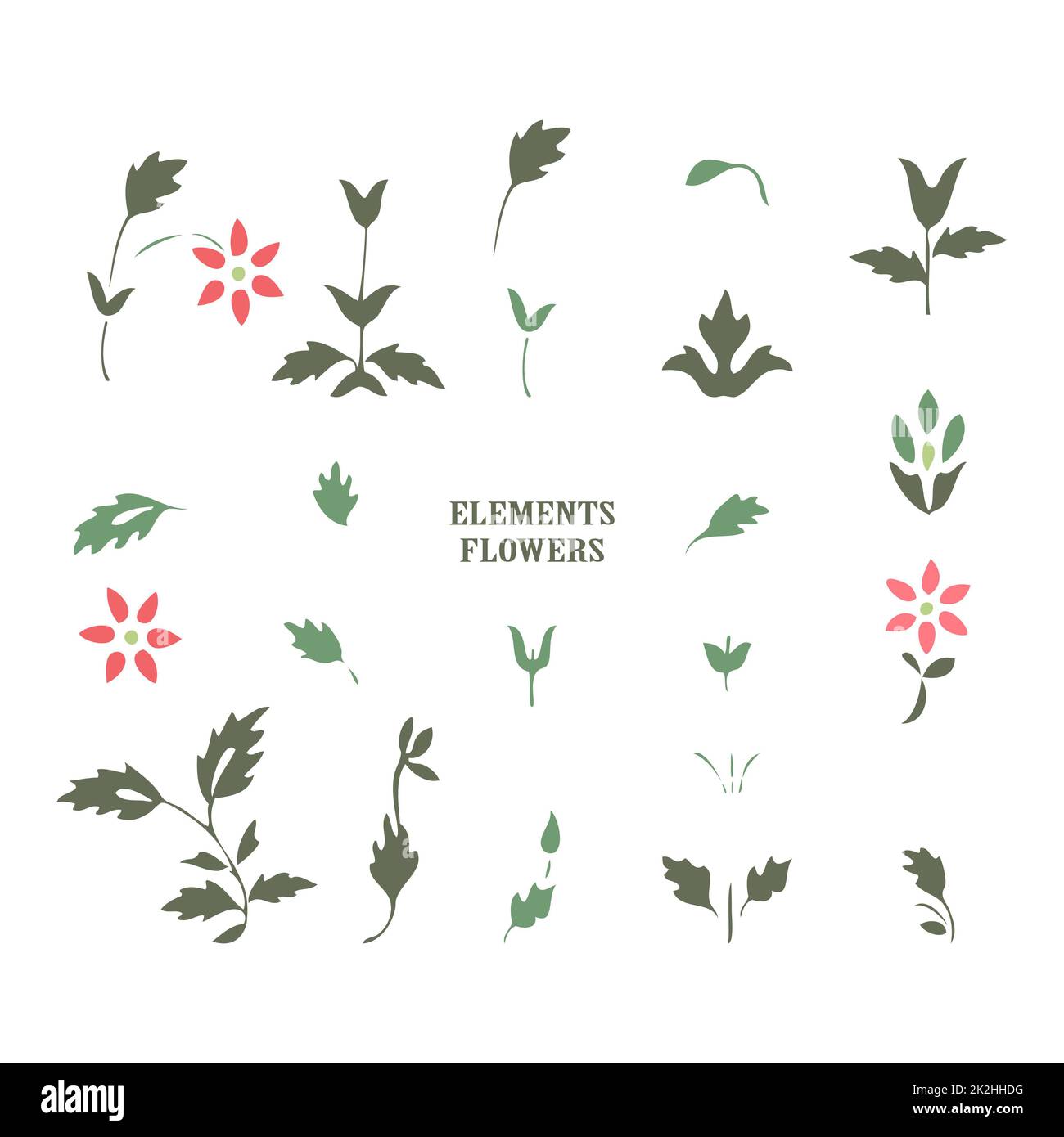 Minimalist wedding invitation floral card. Simple wildflowers, stems