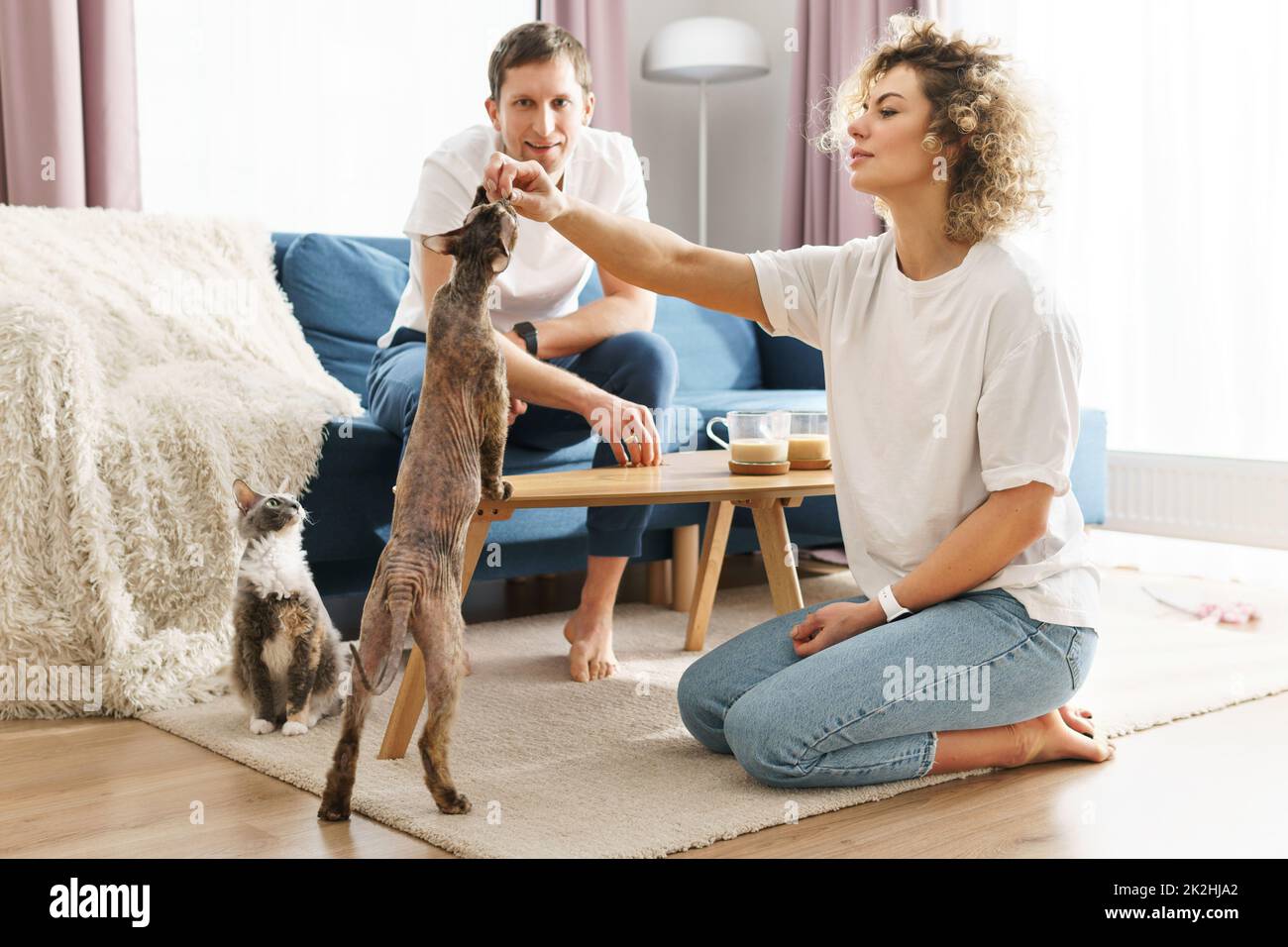 Happy caucasian couple and their cute cats at home Stock Photo