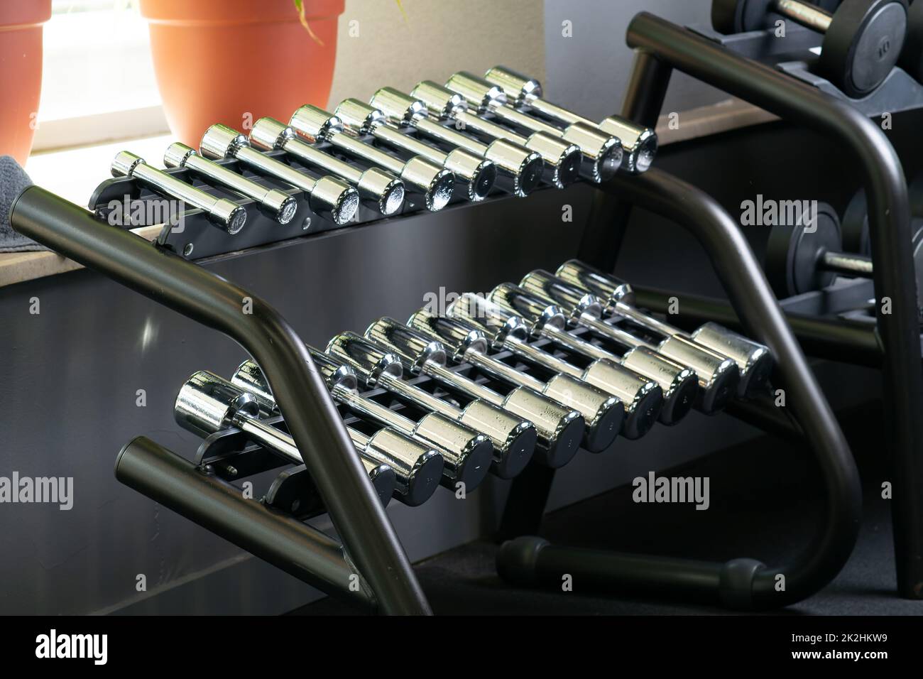 Stand many dumbbell gym fitness set club workout power, from strong