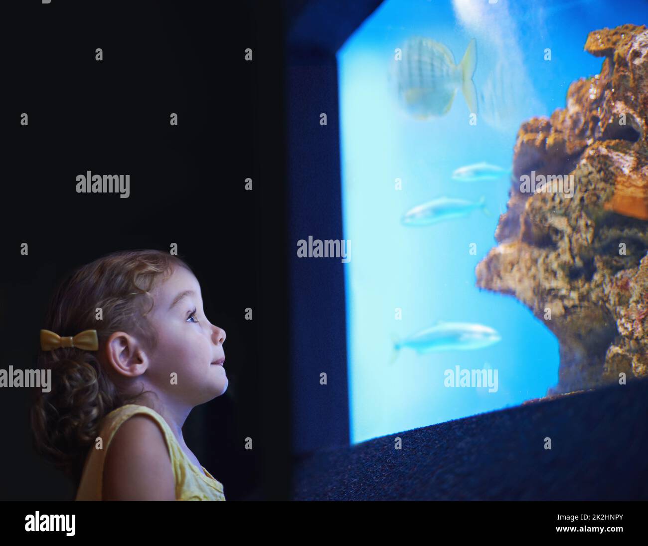 Fascinated by the sea life. Cropped shot of a little girl on an outing to the aquarium. Stock Photo