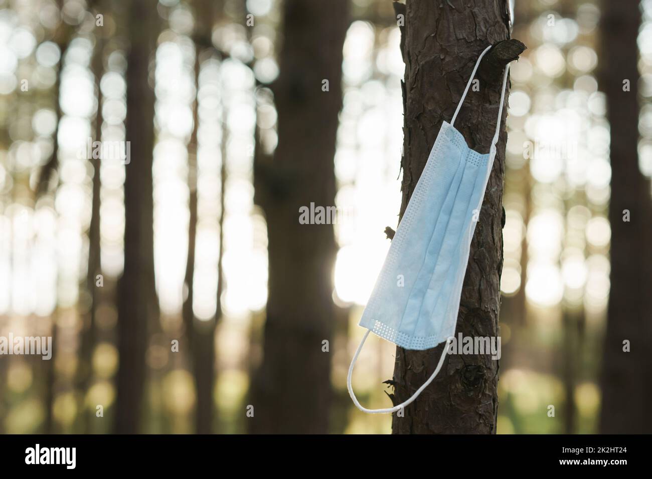 Mask on tree concept of environmental pollution or covid 19 pandemic
