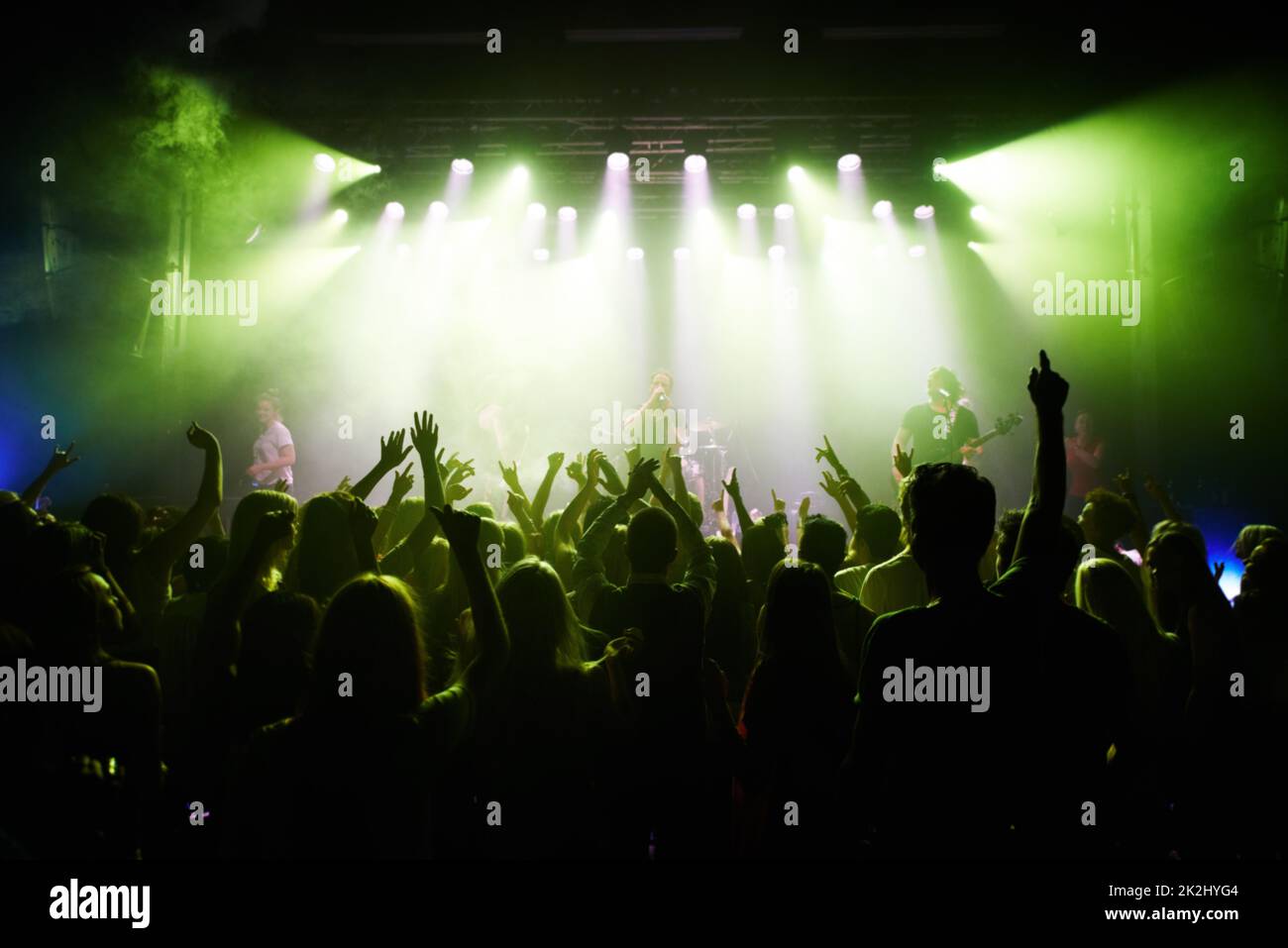 This concert is rockin'. Rearview of a cheering crowd at a music