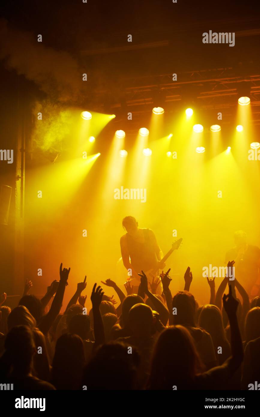 Music unites people. Rearview of a cheering crowd at a music concert