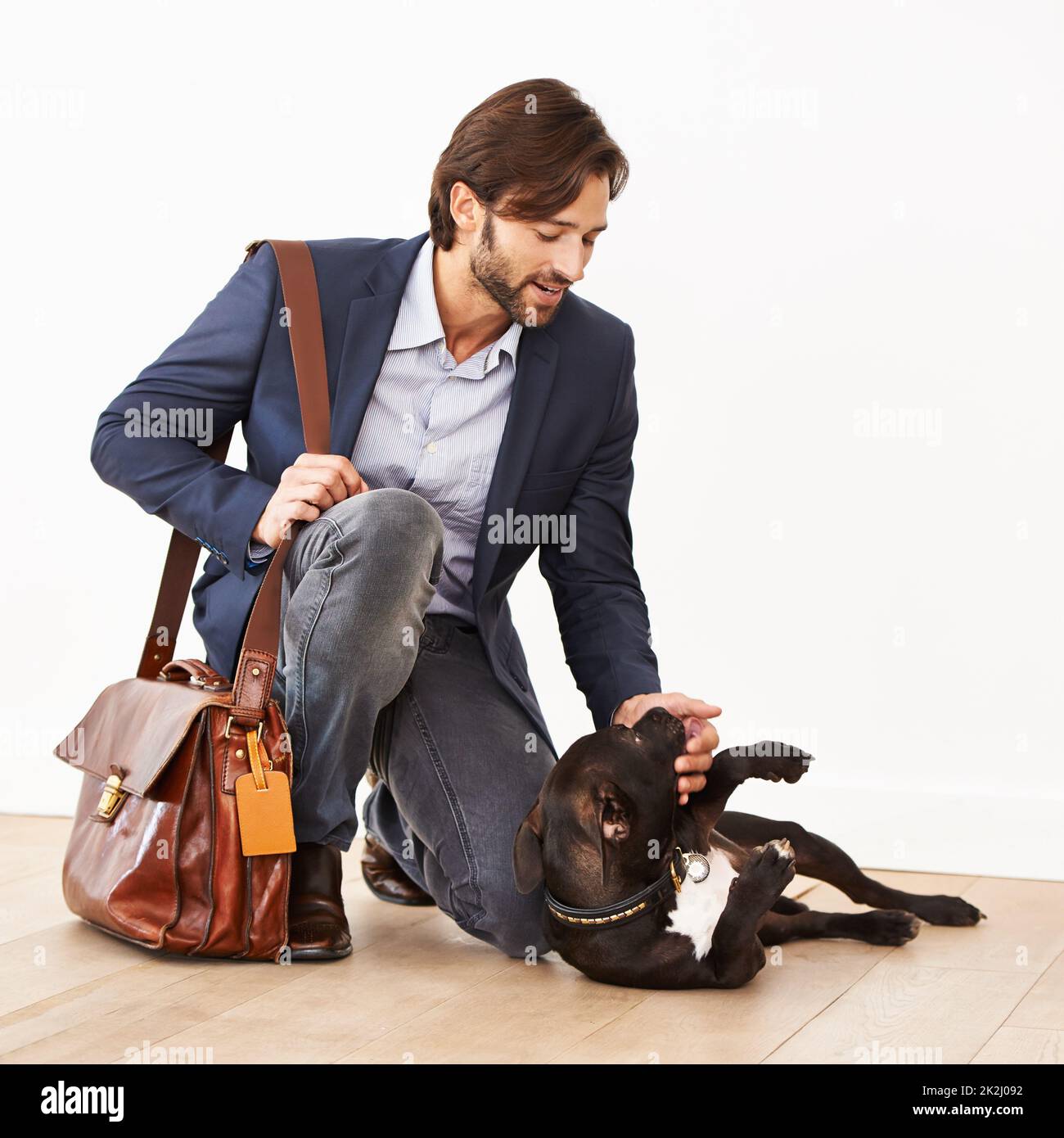 Have you been a good boy. A handsome businessman greeting his playful dog with a belly rub. Stock Photo