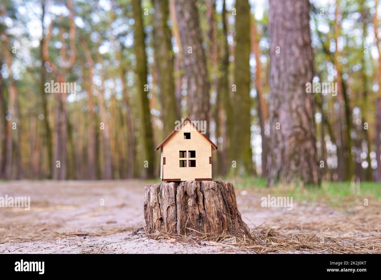 Small wooden toy house model placed on a tree stump in the forest Stock Photo