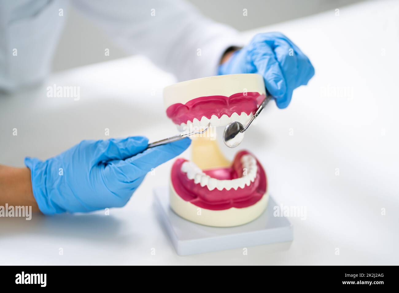 Teeth Care And Dentistry Model. Dentist Doctor Stock Photo