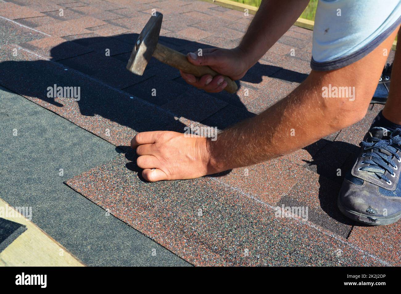 Roofing contractor installing roof tiles, asphalt shingles with hammer and nails. Roofing construction. Stock Photo