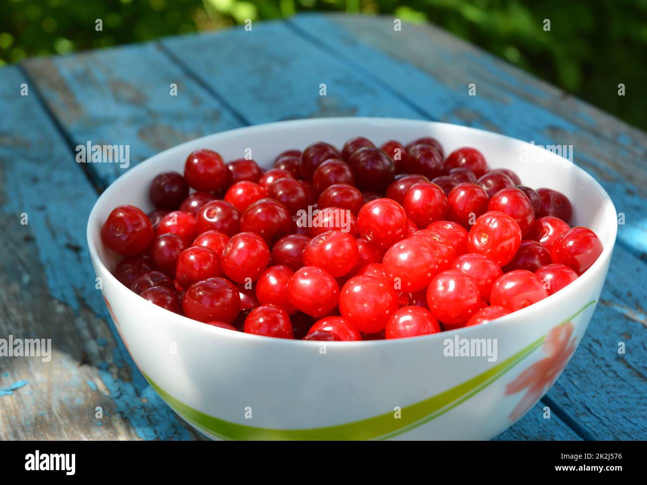 Fresh ripe juicy cherries in the bowl Stock Photo