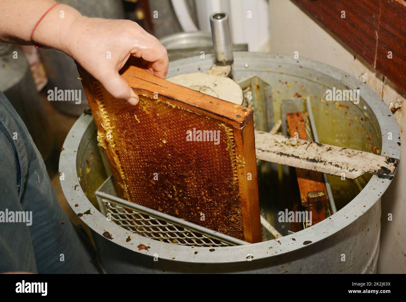 Beekeeper extracting fresh honey from a honeycomb with a knife tool and honey extractor Stock Photo