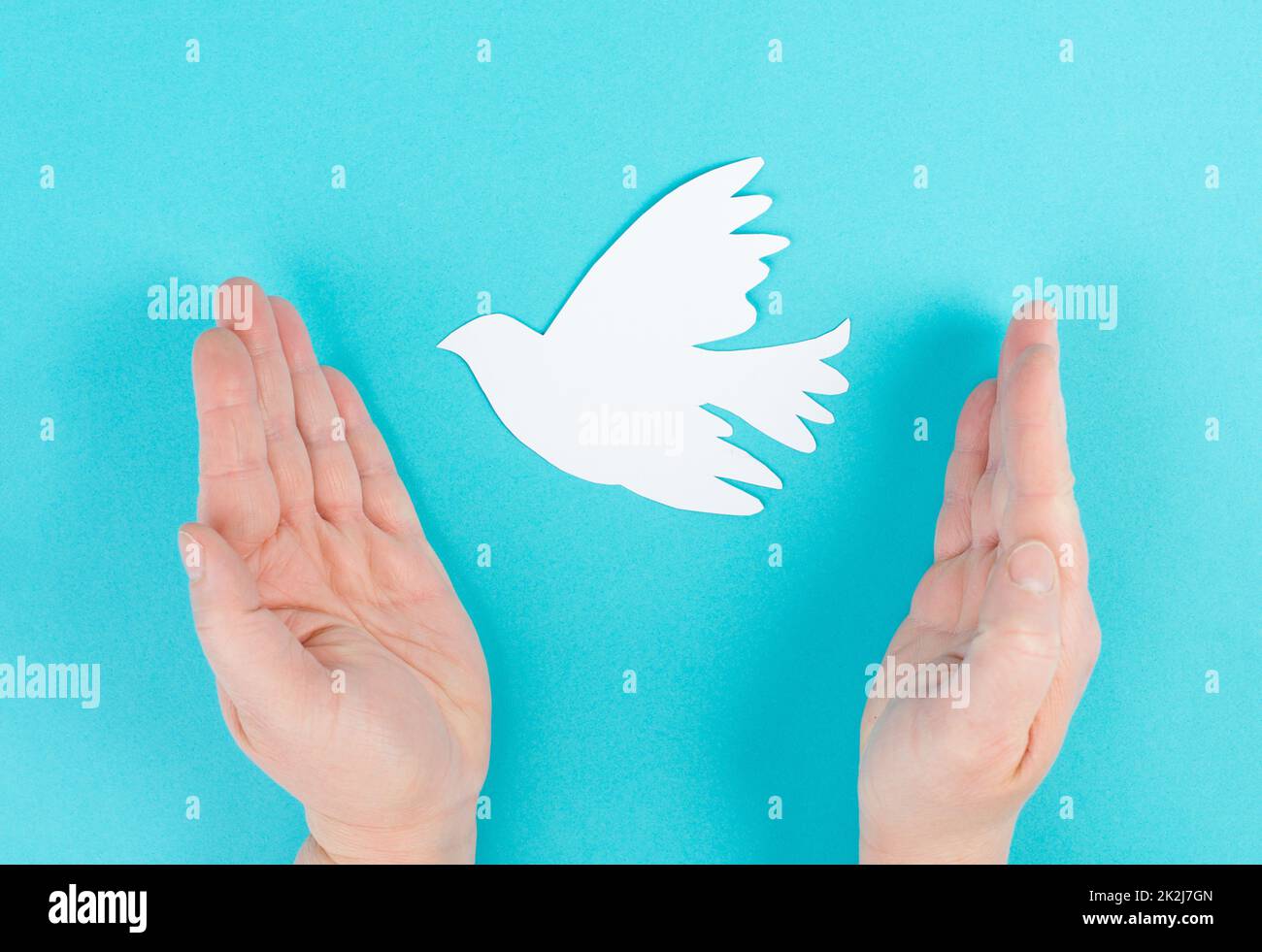 Holding a white dove in the hands, symbol of peace, paper cut out pigeon, copy space for text, blue colored background Stock Photo