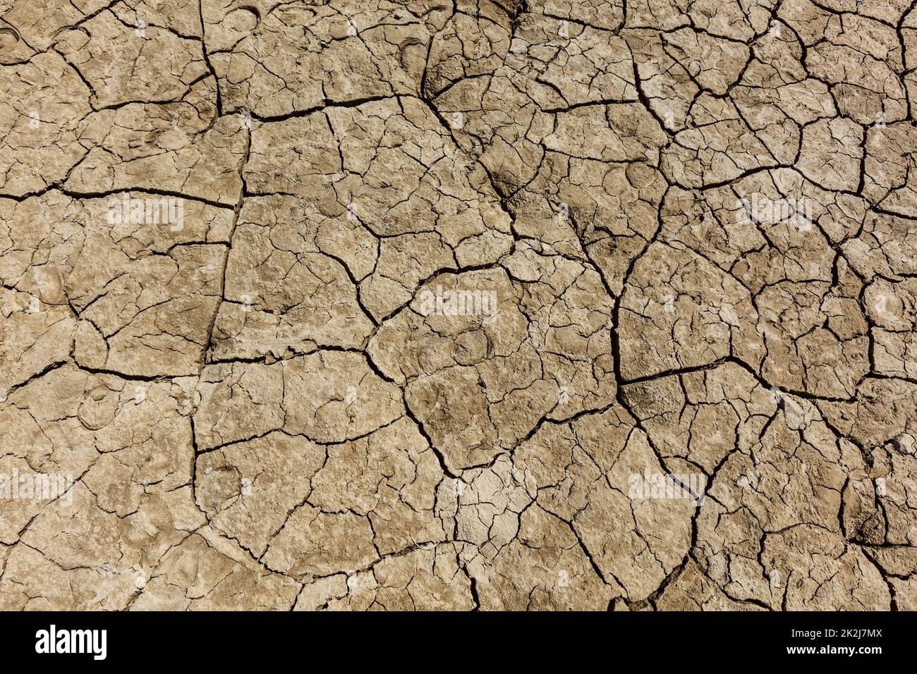 Cracked dry earth with cracks texture Stock Photo