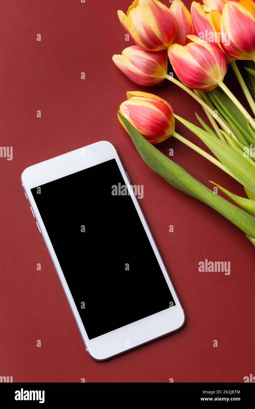 Phone with blank screen and bouquet of tulips on claret background. Smartphone mock up. Stock Photo