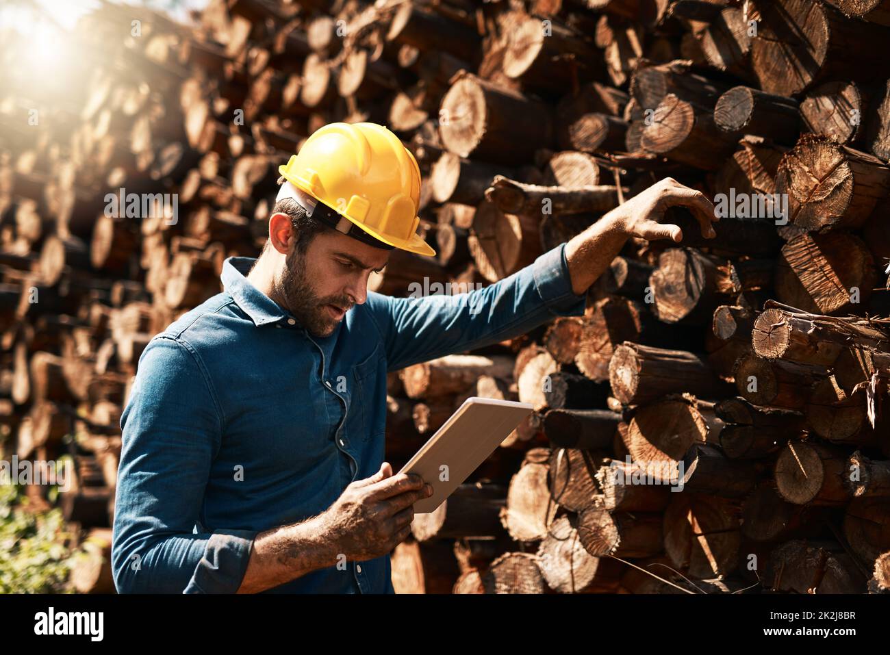 Tracking his lumber deliveries. Cropped shot of a lumberjack using his tablet while standing in front of a pile of wood. Stock Photo
