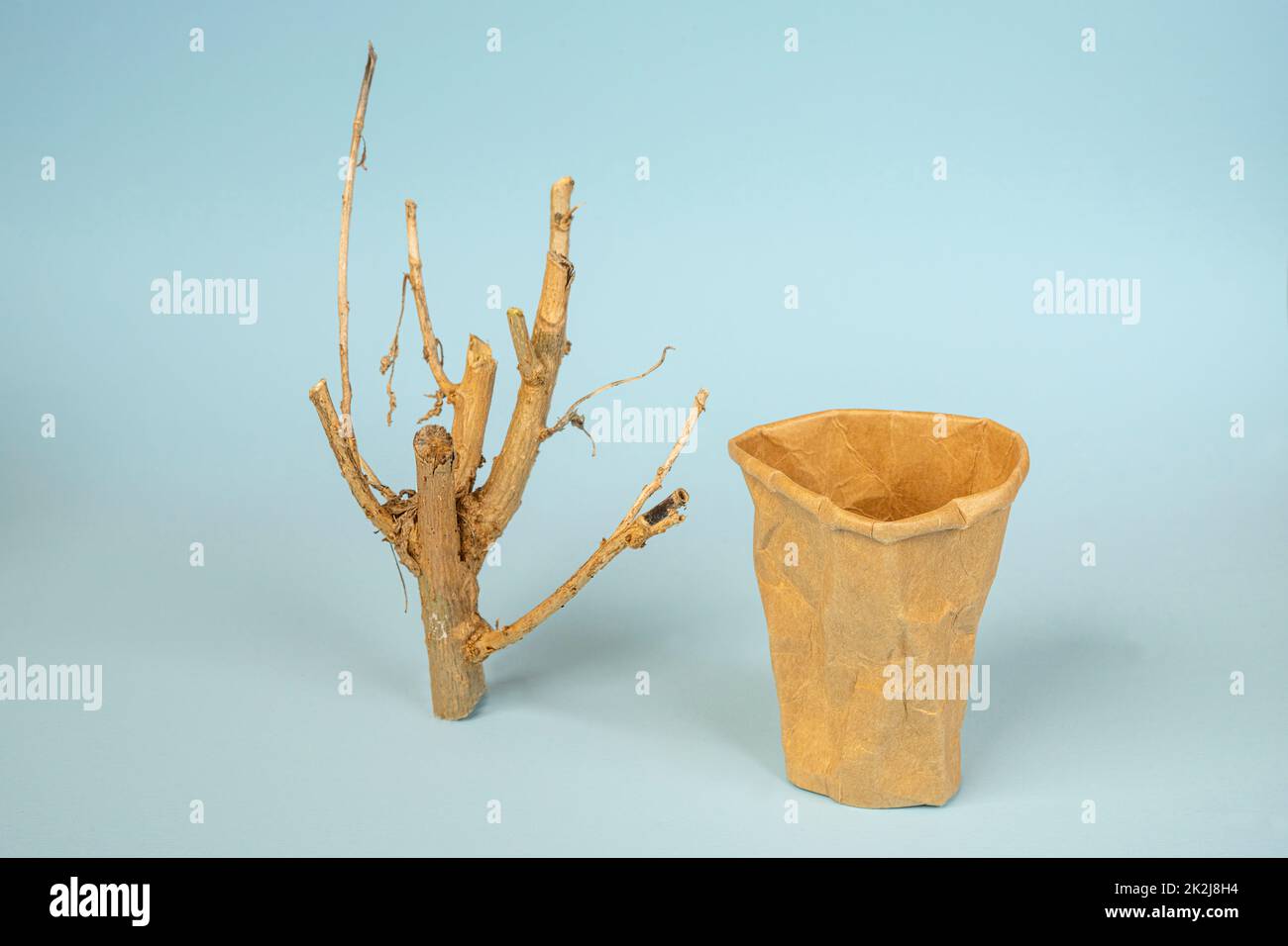 Recycled paper cup hi-res stock photography and images - Alamy