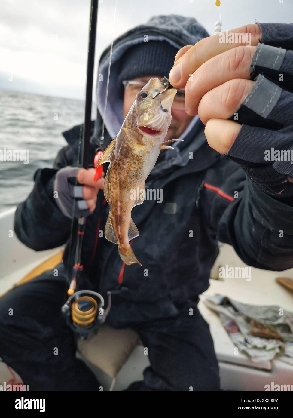cod fishing Stock Photo