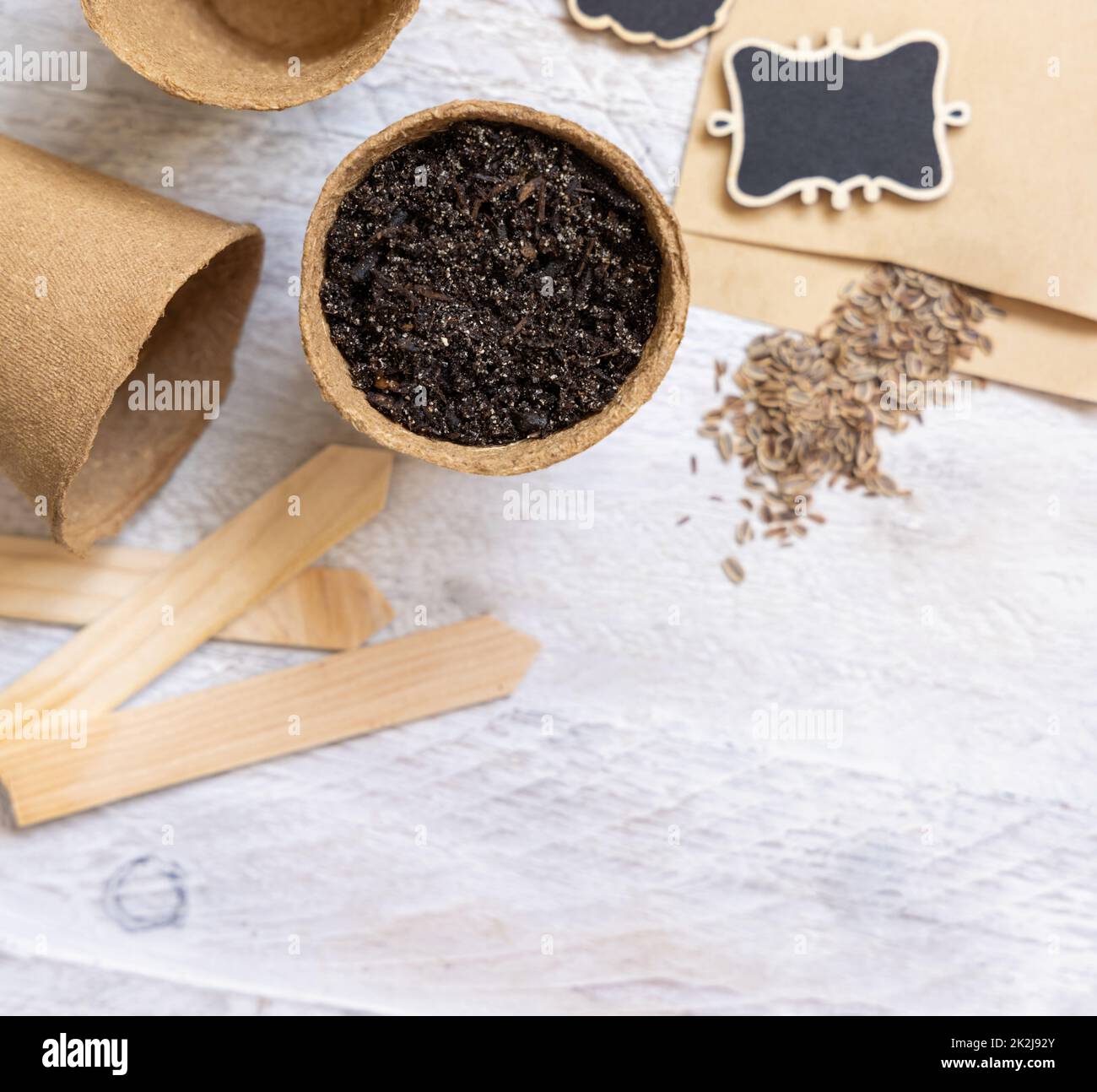 Dill seeds, biodegradable pots and garden tools top view. Indoor