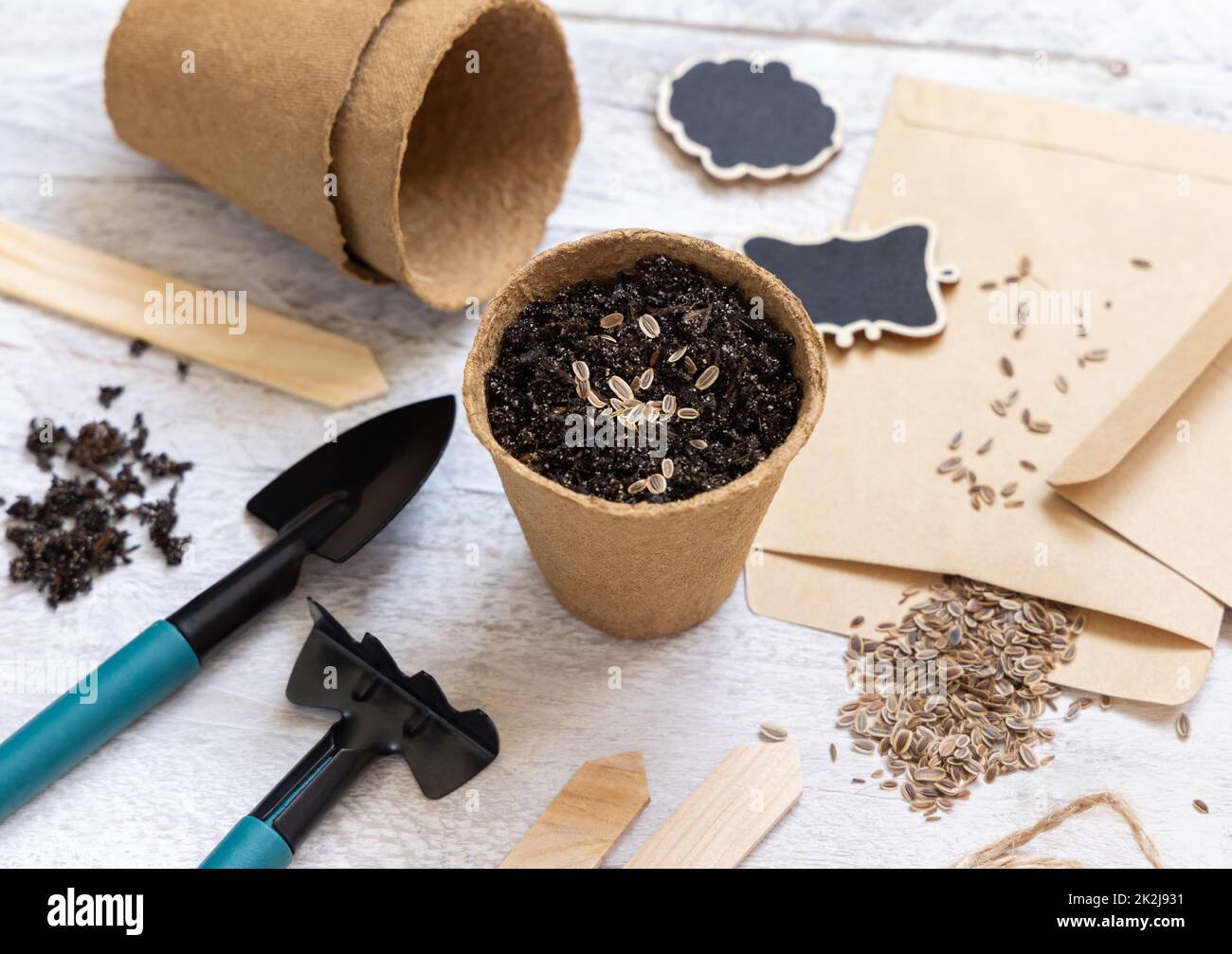 Dill seeds, biodegradable pots and garden tools close up. Indoor