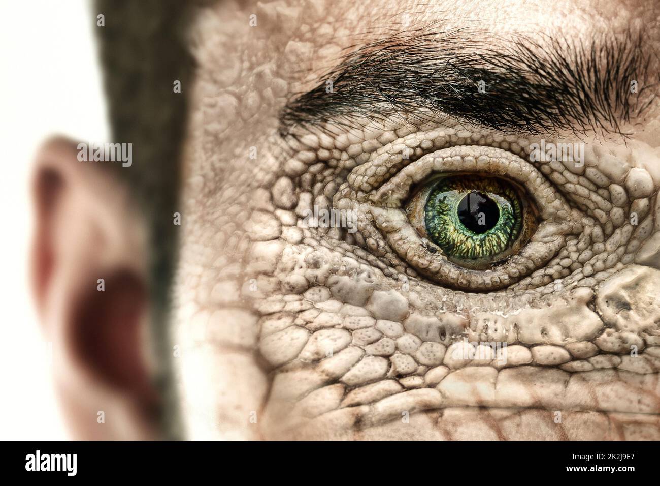 Reptiloid as science fiction character or reptilian conspiracy theory concept. Stock Photo