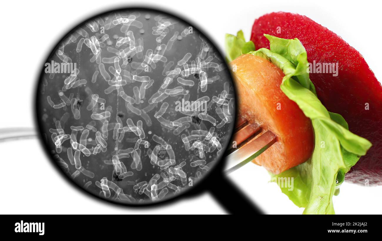 Searching for bacteria in vegetables Stock Photo Alamy