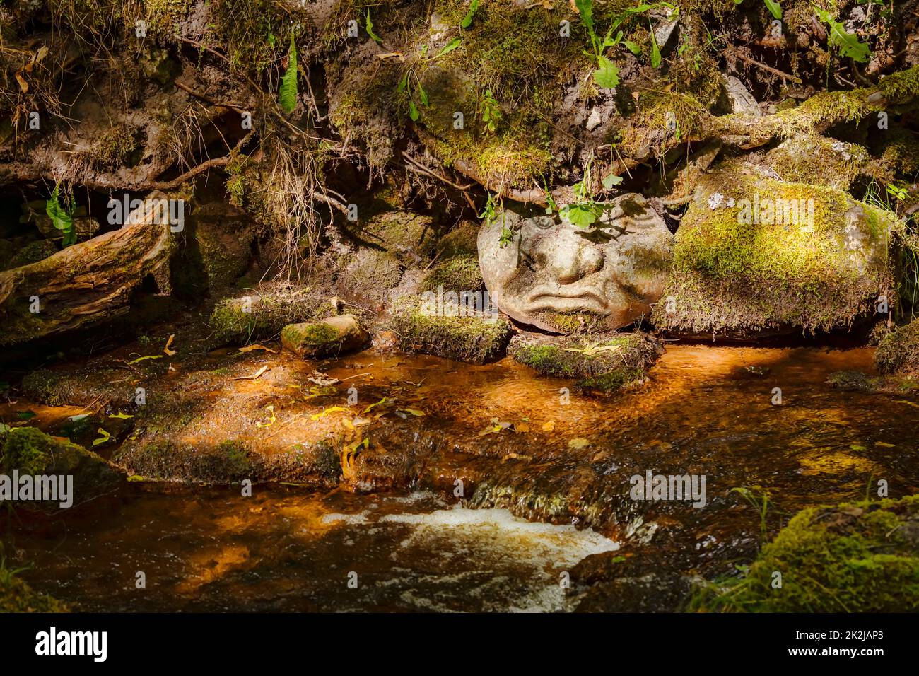 Face of a stone mermen on the bank of a stream Stock Photo