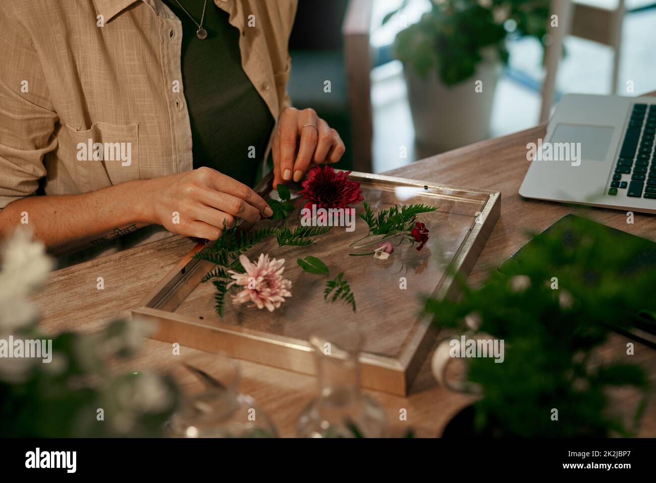 Everything is falling into place perfectly. Cropped shot of an