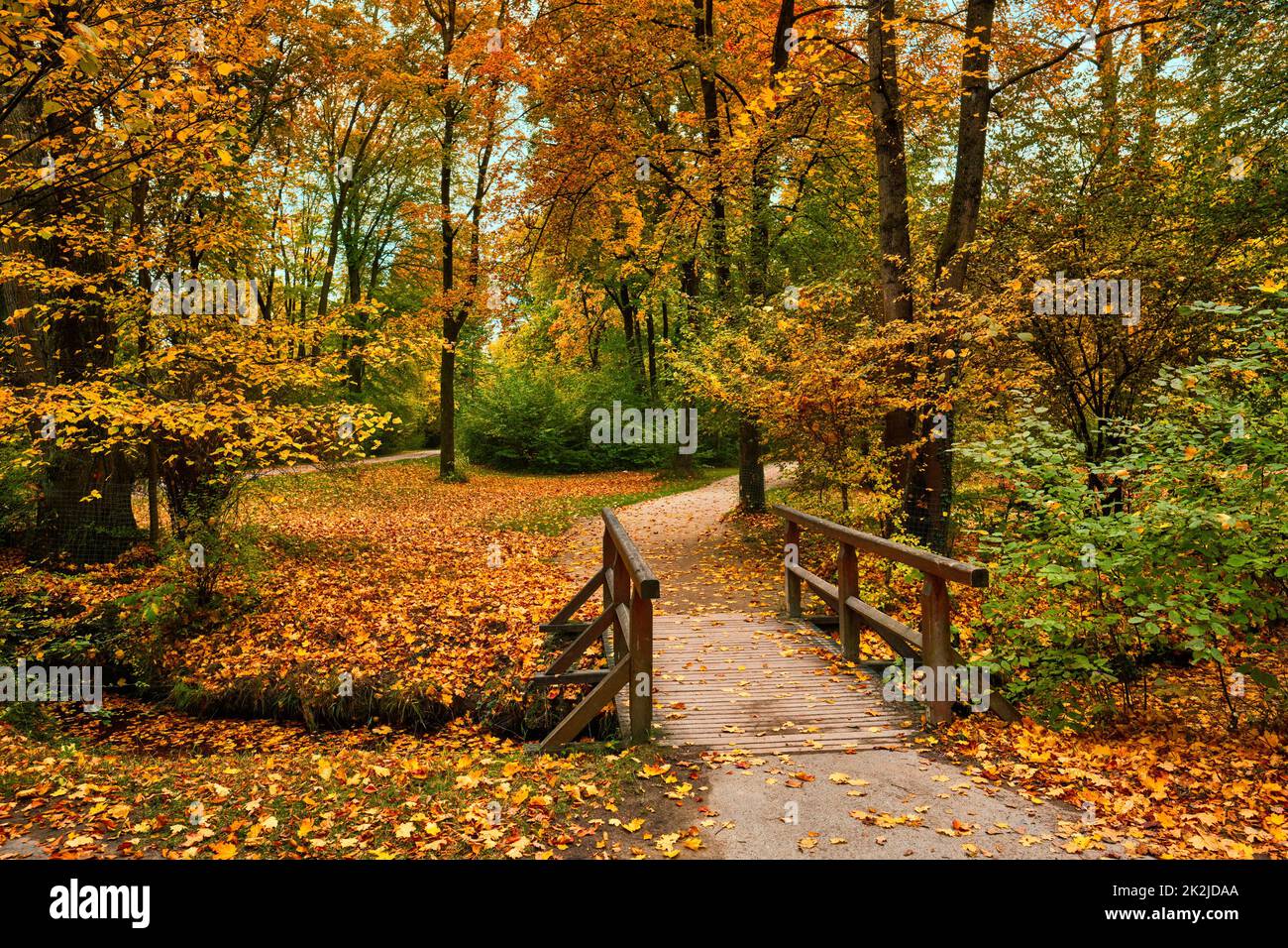 Munich English garden Englischer garten park in autumn. Munchen, Bavaria, Germany Stock Photo