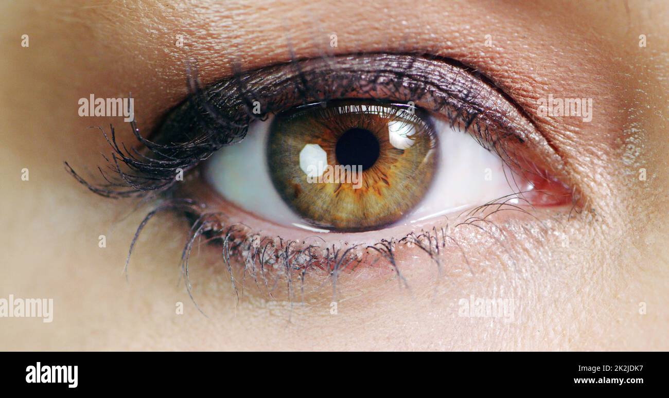 Take a journey through her eyes. Closeup beauty shot of a young womans eye. Stock Photo