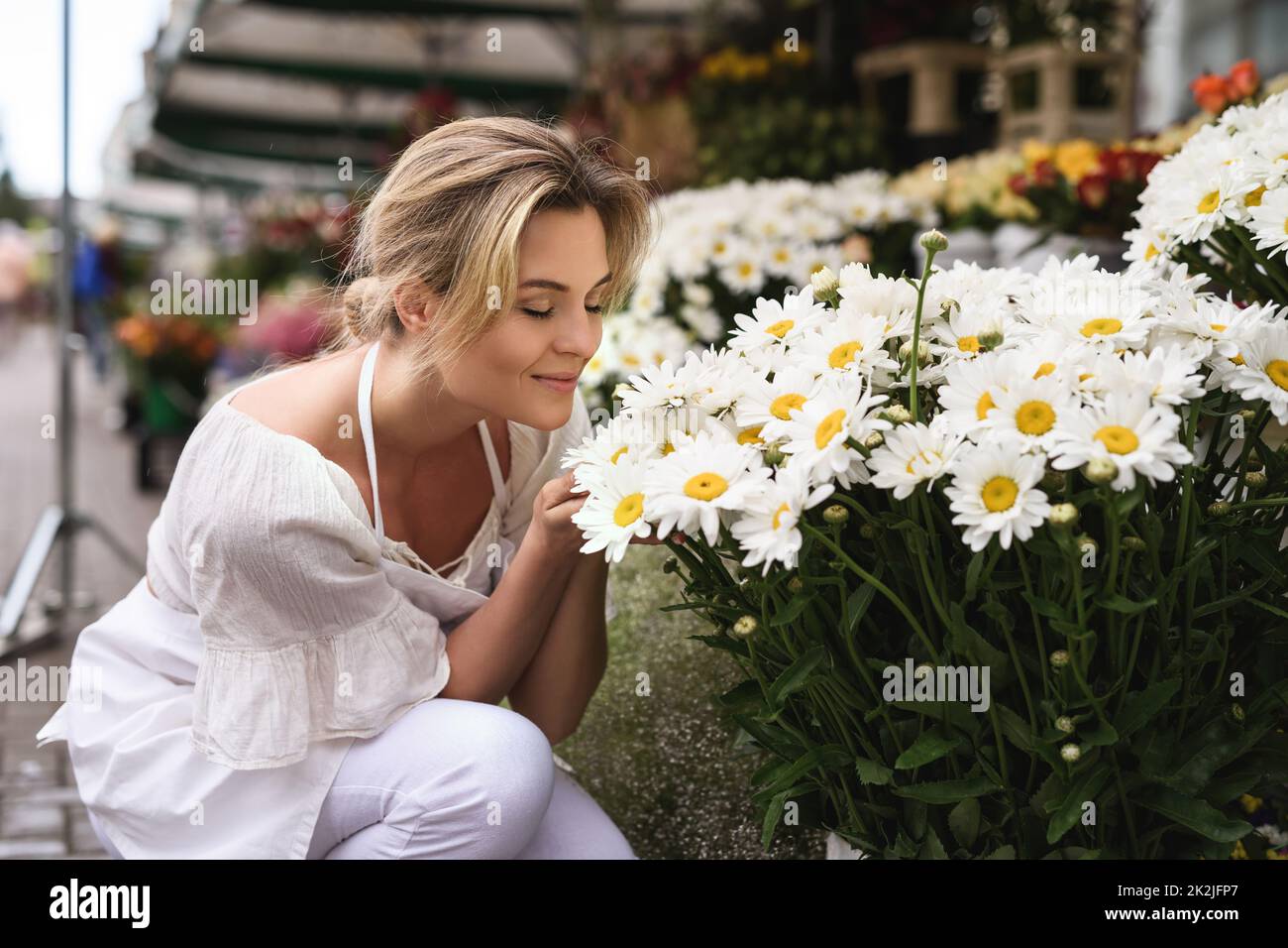 Beautiful woman florist working in her little flower shop Stock Photo ...