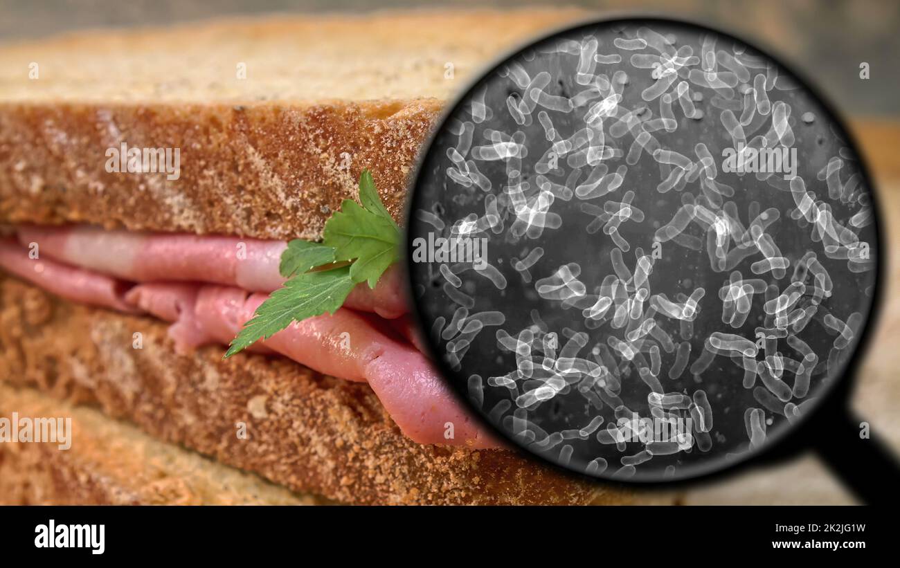 Searching for bacteria in sandwich Stock Photo
