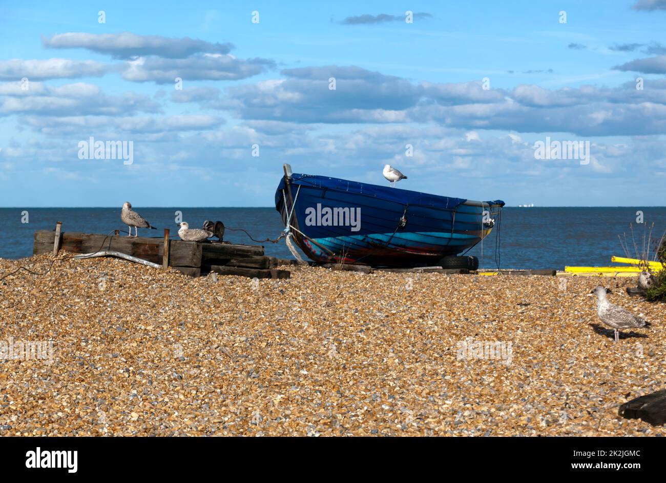 Gulls sitting on top  an old boat, drawn up on Deal Beach, Kent Stock Photo