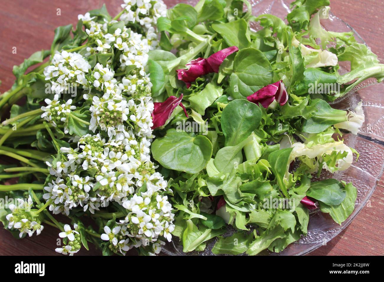 mixed salad with scurvygrass on an old table Stock Photo