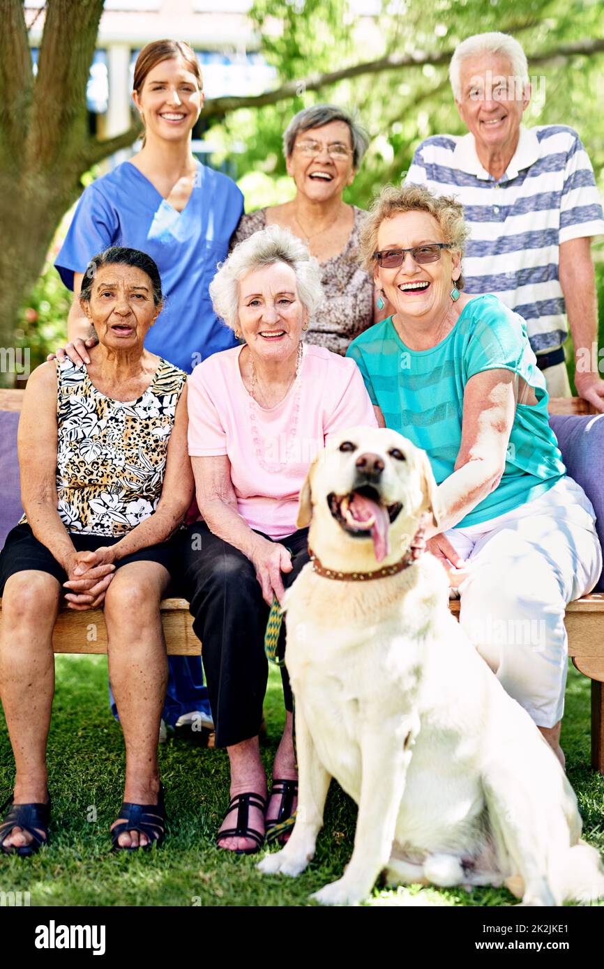 Their autumn years are filled with happiness. Portrait of a group of smiling seniors and a nurse outside with a labrador. Stock Photo