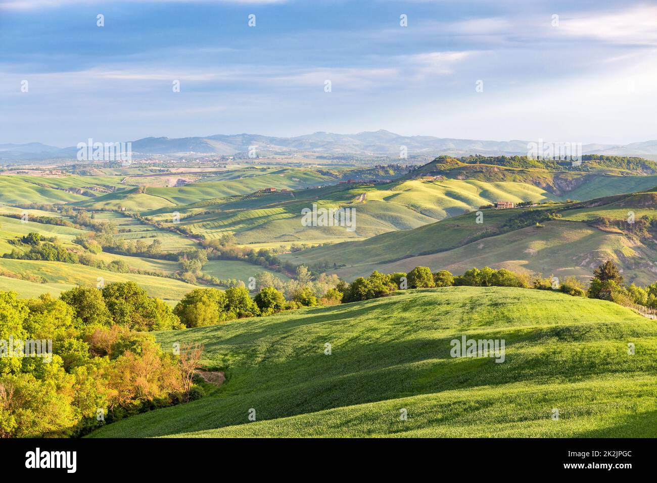 Rural rolling landscape view with fields and groves of trees in a valley in Tuscany Stock Photo