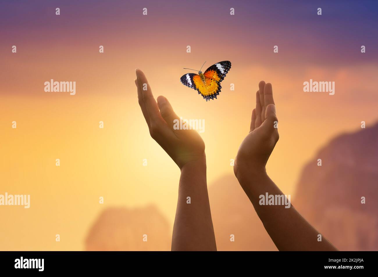 The girl frees the butterfly from  moment Concept of freedom Stock Photo