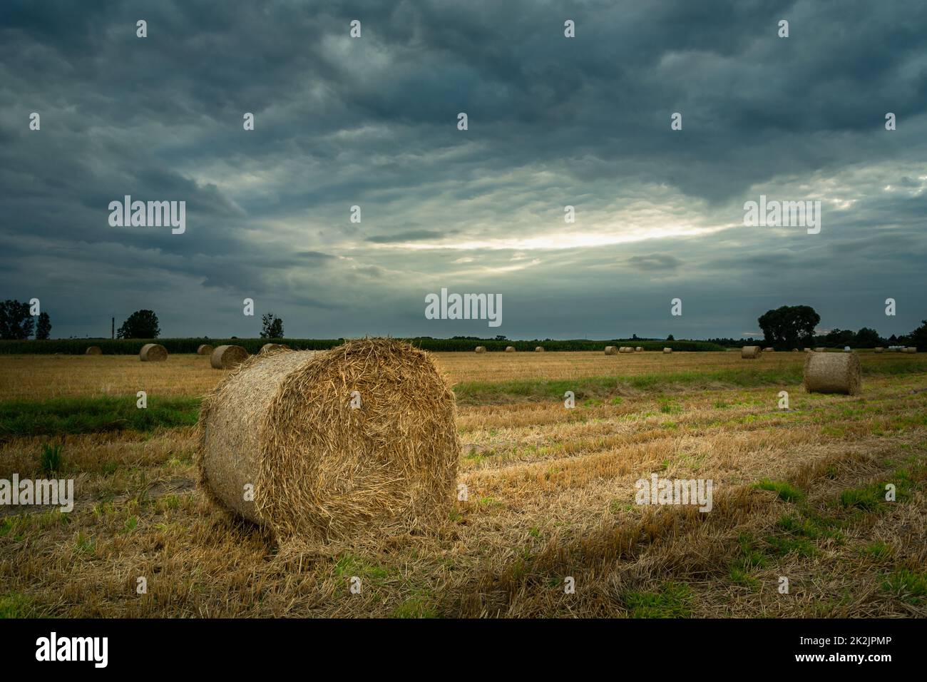 Hay bales in the field and cloudy sky Stock Photo - Alamy
