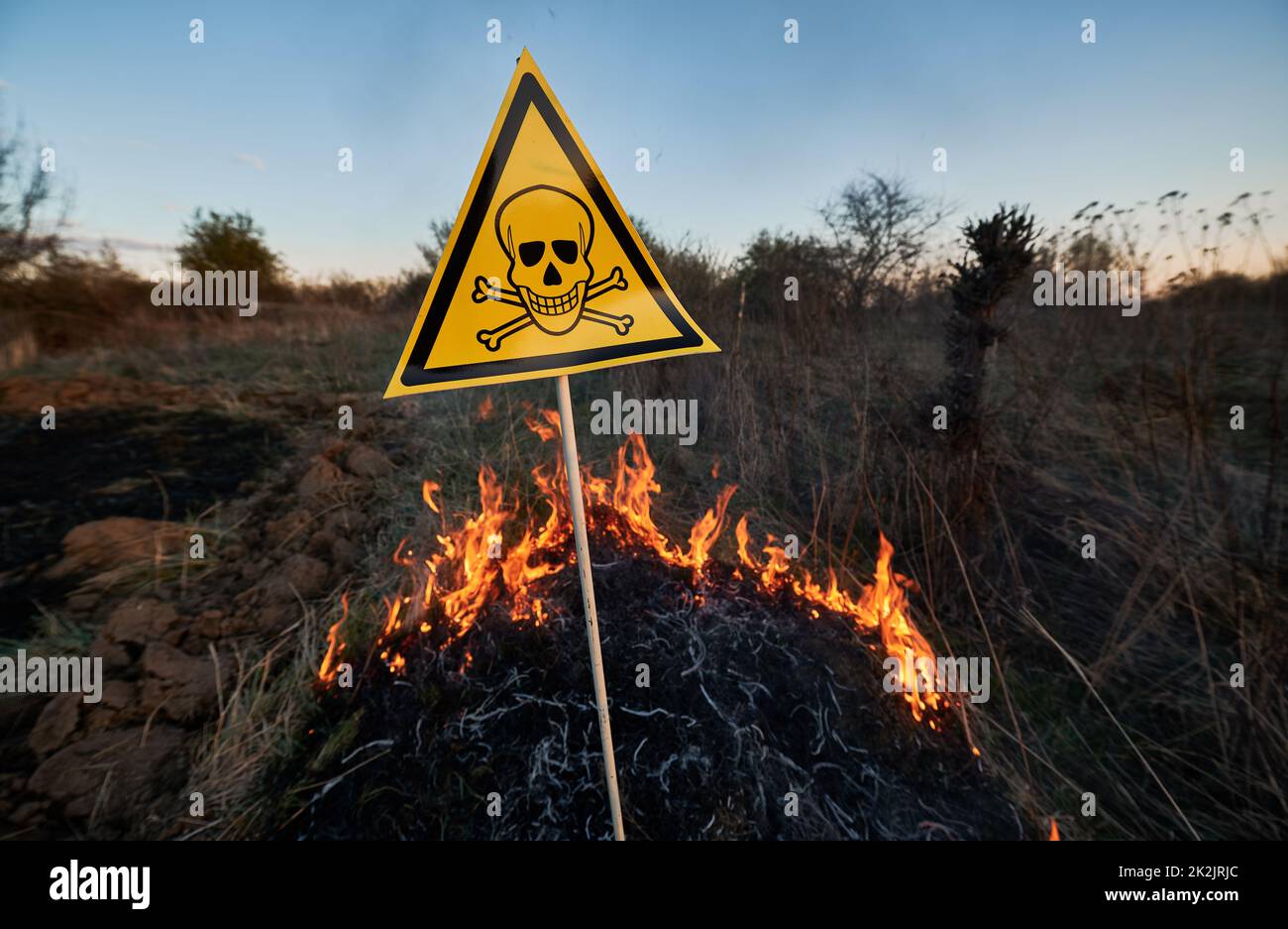 Burning dry grass and poison toxic sign. Yellow triangle with skull and