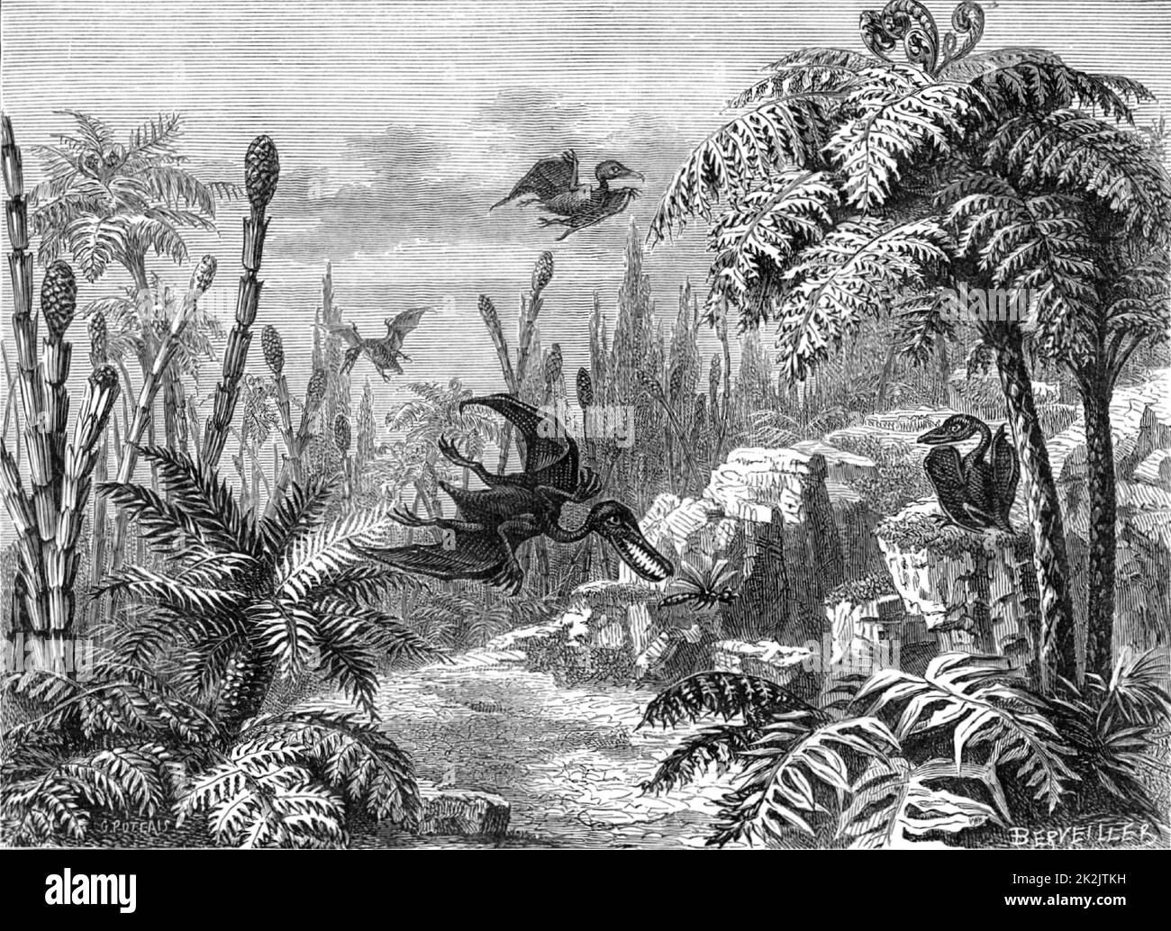 Scene during the Lias period, showing Pterodactyls, a dragonfly, Equisetums, and Tree Ferns. From 'The Popular Encyclopaedia' (London, 1888). Engraving. Stock Photo