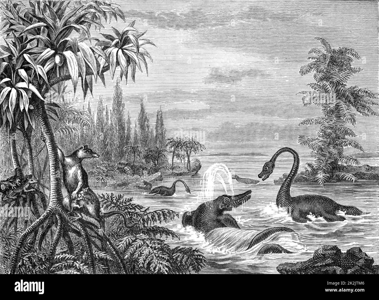Scene during the Lower Oolite period showing reconstructions of Ichthyosaurus, Plesiosaurus and a Marsupial. From 'The Popular Encyclopaedia' (London, 1888). Engraving. Stock Photo