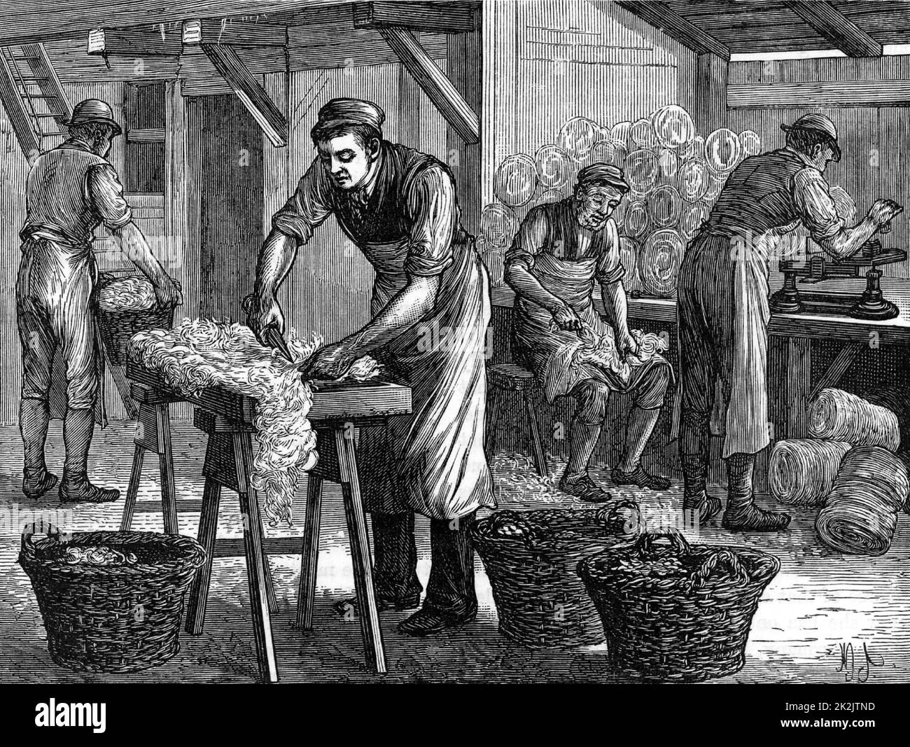 Woolsorters. These workers, who were employed by a woolstapler, sorted the wool from various areas of the fleeces into separate batches. Like tanners, they were at risk of contracting Anthrax from the fleeces. From 'Great Industries of Great Britain' (London, c1880). Engraving. Stock Photo
