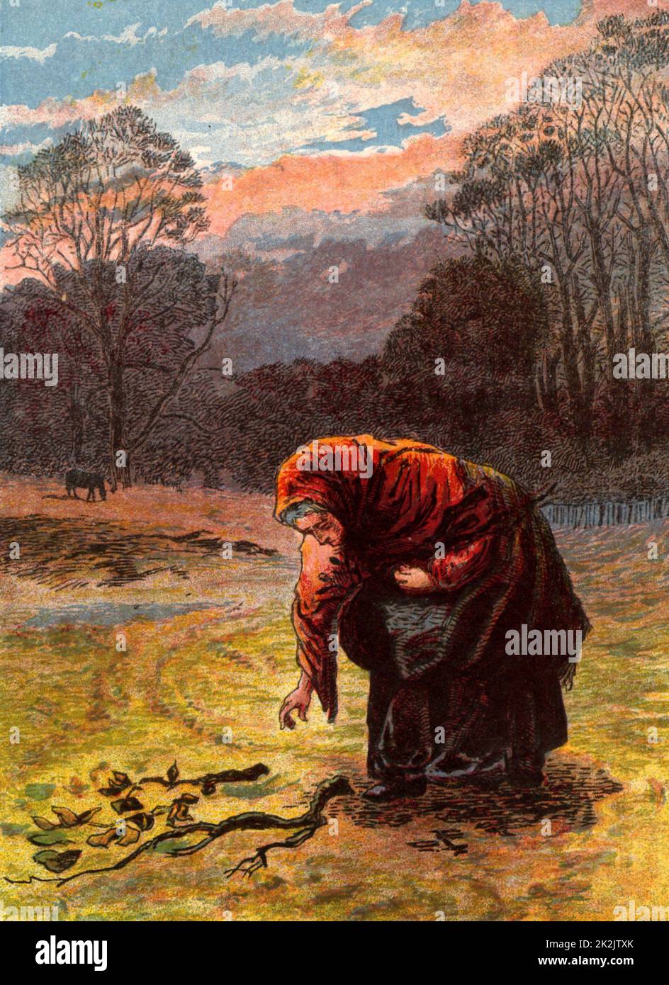 An old woman in a shawl bending stiffly to collect firewood. Kronheim chromolithograph from 'Pictures from Nature' by Mary Howitt (London, 1869). Stock Photo