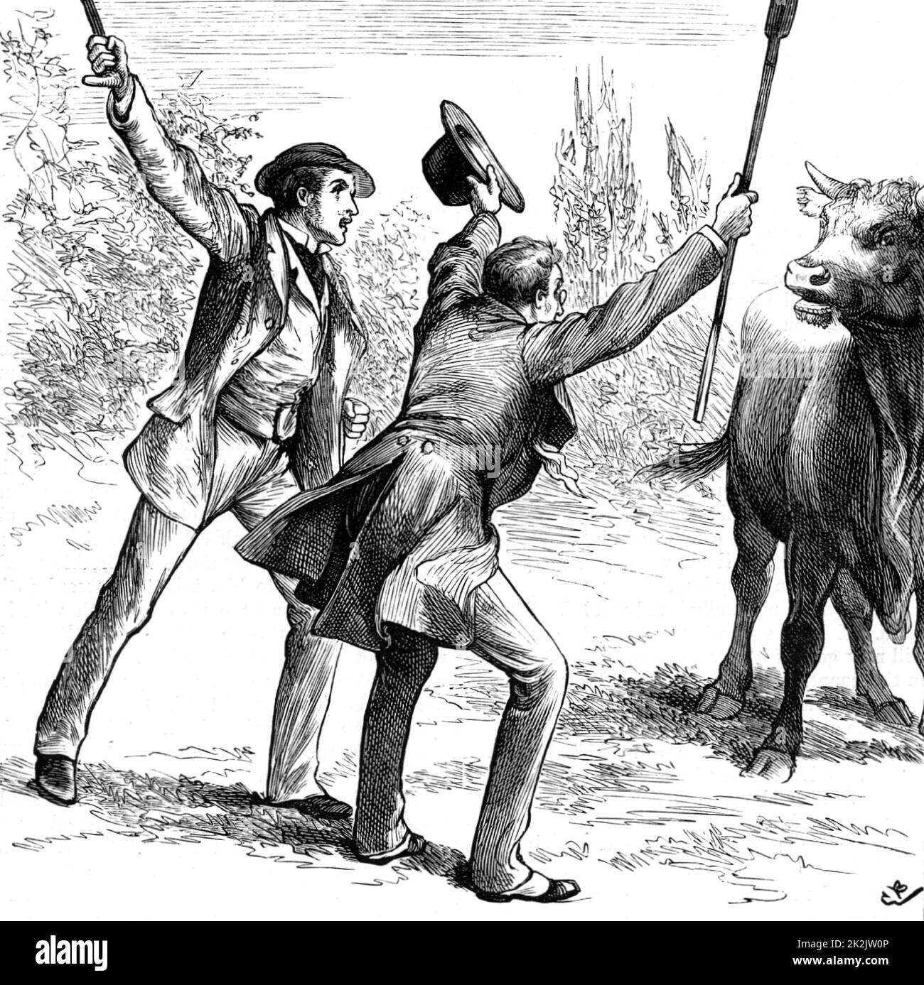 Johnny Eames helping Lord de Guest escape from the angry bull. Illustration of 1883 by Gordon Frederick Browne (1858-1932) for 'The Small House at Allington' by Anthony Trollope, first published in 1862, the fifth in his series of Barsetshire novels. Stock Photo