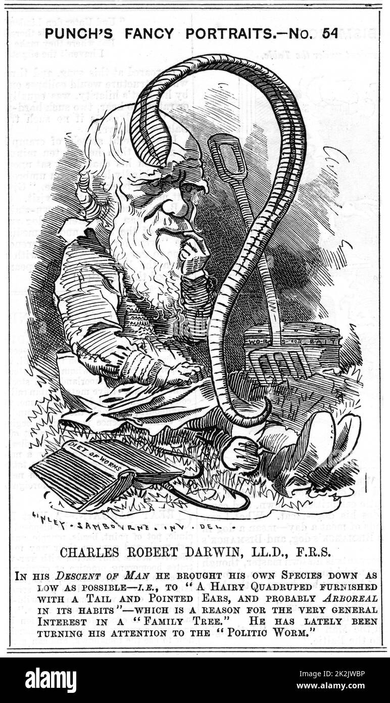 Charles Darwin (1809-1882) English naturalist. Evolution by Natural Selection. Cartoon by Edward Linley Sambourne (1844-1910) in the Fancy Portrait series in 'Punch', London 1881, the year Darwin published 'The Formation of Vegetable Mould through the act Stock Photo