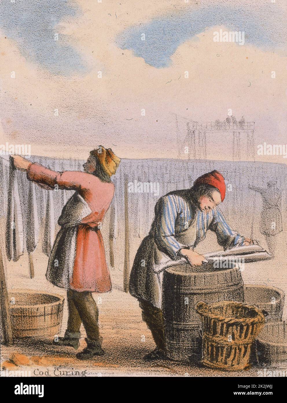 Curing cod by salting and hanging up to dry. From 'Graphic Illustrations of Animals and Their Utility to Man', c1850 Stock Photo