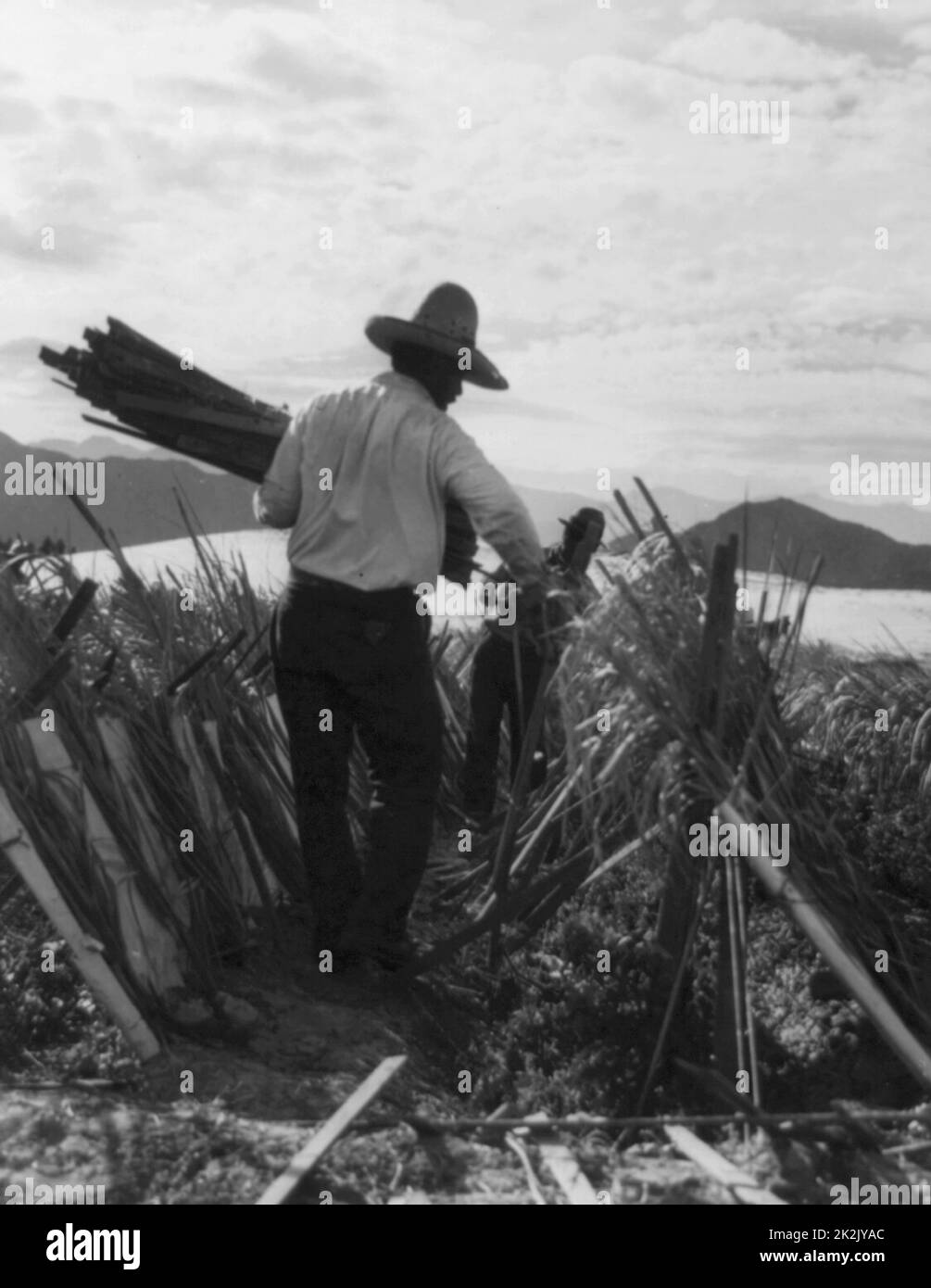 Farming california 1935 hi-res stock photography and images - Alamy