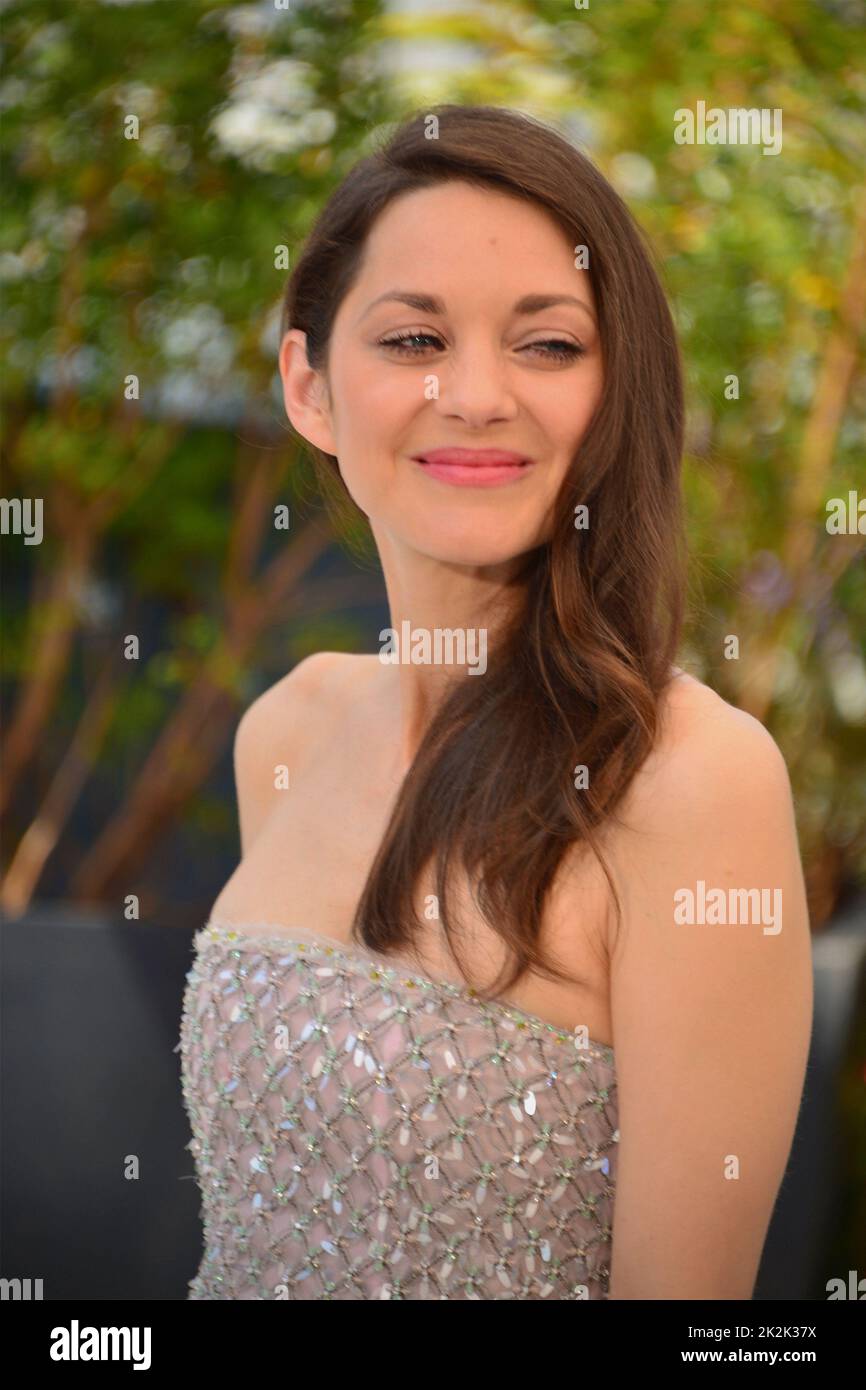 Marion Cotillard (dress by Chanel) Photocall of the film 'Frère et